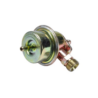 Fit For Citroen CX25 For Jaguar XJ12 XJ6 XJS Porsche 944 For Renault 25 For Volvo 360 Fuel Pressure Regulator