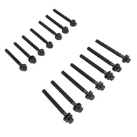 Fit For Fairlane Fairmont BA BF Falcon BA BF FG Territory SX SY SZ FPV F6 BA BF FG 2002-2016 HBS0250 14 x Cylinder Head Bolt