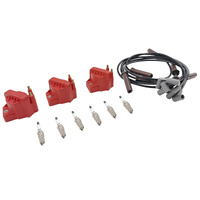Fit For Holden Commodore VP VR VS VT VX VY V6 3.8L 3 Pack Ignition Coil + 6 x Leads