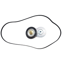 Drive Belt Tensioner & Drive Belt Kit Fit For LDV T60 2.8L Diesel 2017-ON