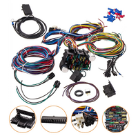 Universal 21 Circuit Wiring Harness For Chevy Ford Hotrods X-long Wires